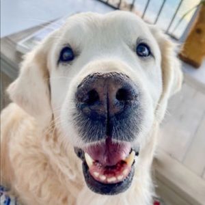 Meet your Posher, Joshua